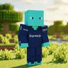 Express icon